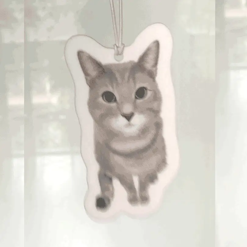 Turn Photos into Custom Air Fresheners - Image 14