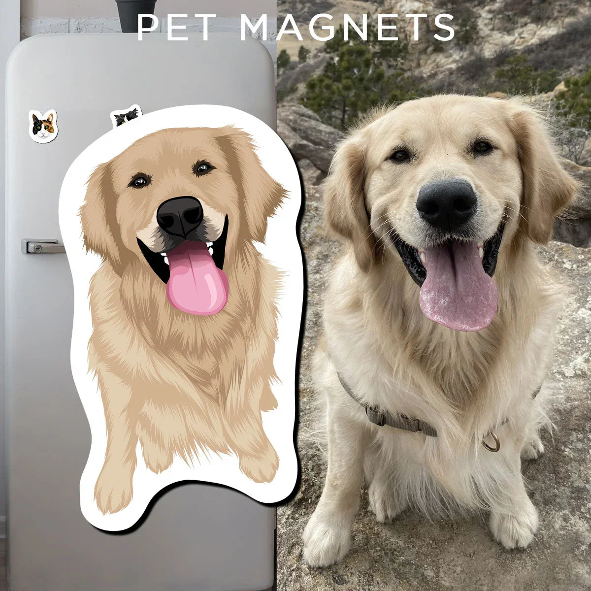 Turn Photos into Custom Magnets - Image 11