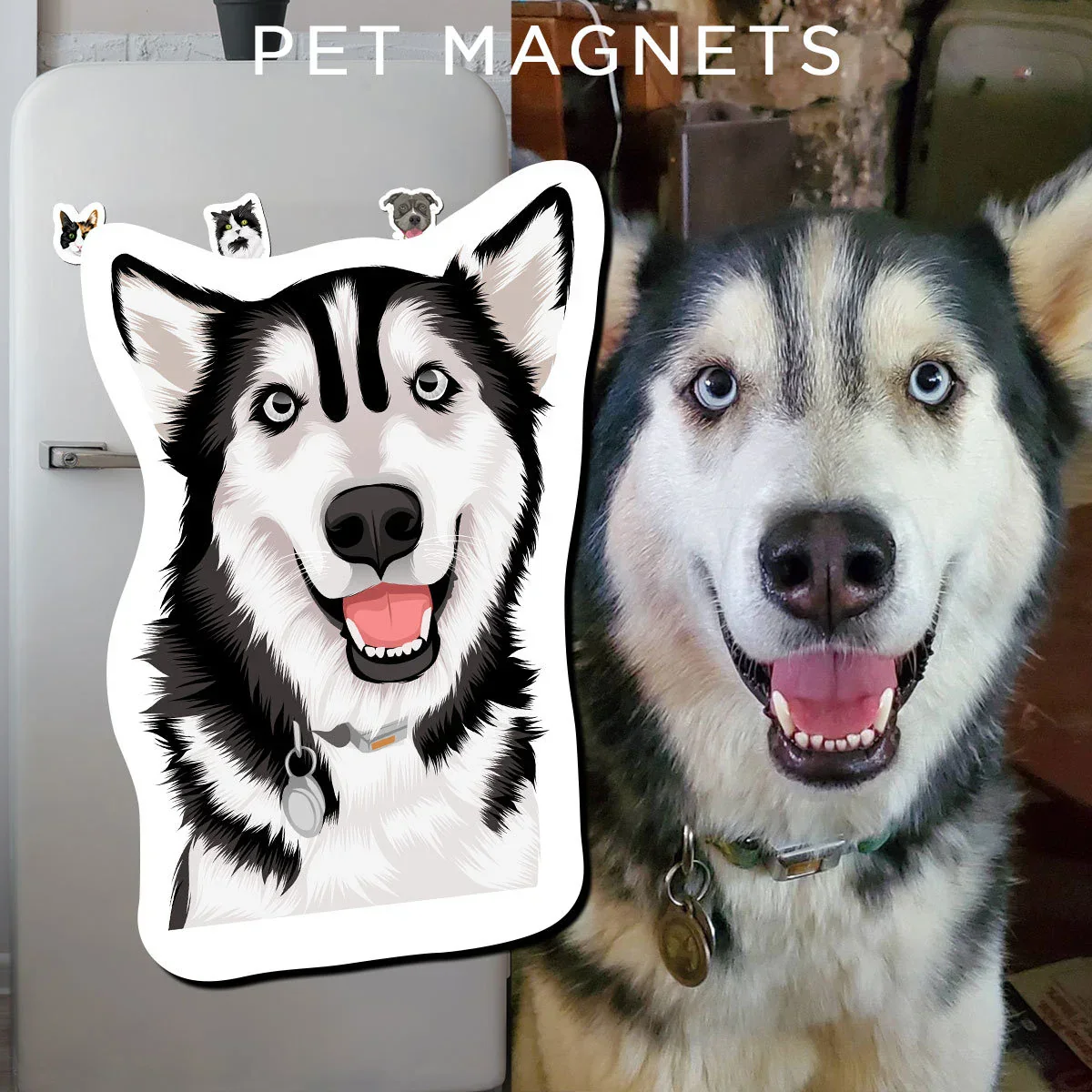 Turn Photos into Custom Magnets - Image 16