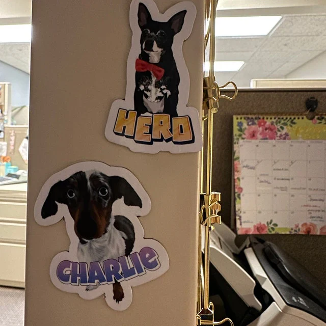 Turn Photos into Custom Magnets - Image 18
