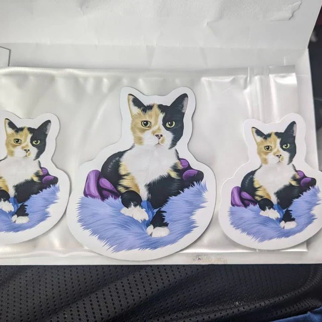 Turn Photos into Custom Magnets - Image 19