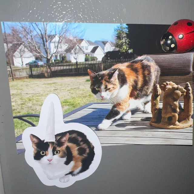 Turn Photos into Custom Magnets - Image 20