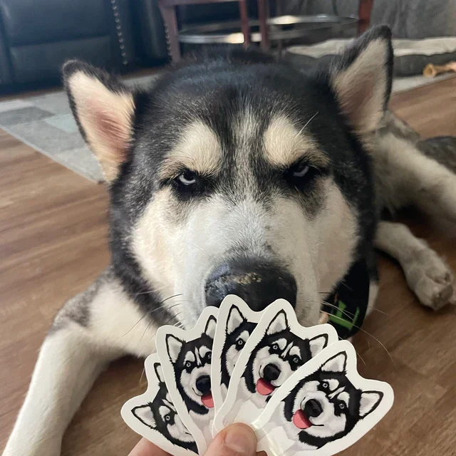 Turn Photos into Custom Stickers - Image 12