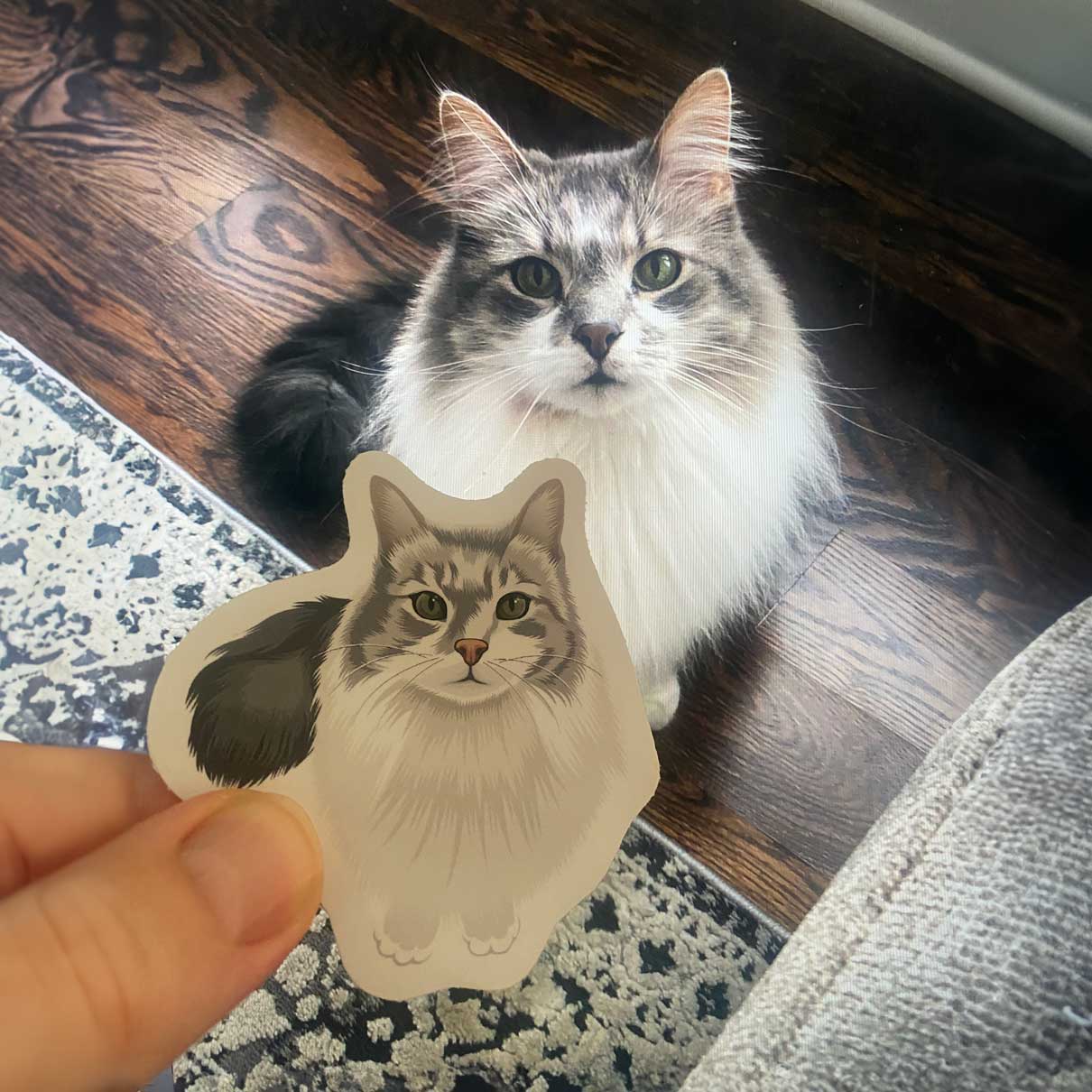 Turn Photos into Custom Stickers - Image 6